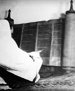 �ж�����ľ�¡�