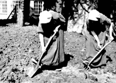 ͼ  �����е���Ů