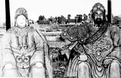 �˲�����������