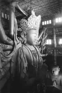 ǧ��ǧ�۹�����ľ����