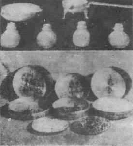 �ƴ��������ߣ�����������