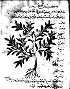 ͼ ϣ��ҽҩѧ�����İ��������뱾