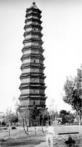 �v������