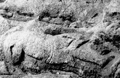 ͼ �������Ħ�¿���(���տ���ɽ)