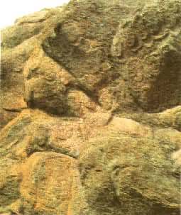 ͼ ����ɽ����Ħ������