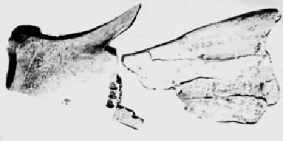 ���̲���